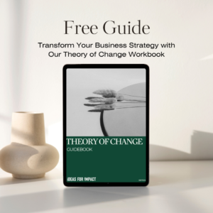 Theory of Change Guidebook