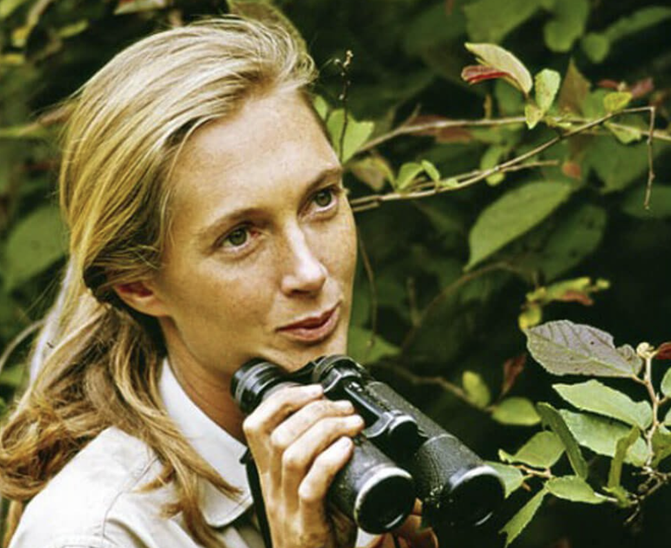 Dr. Jane Goodall 